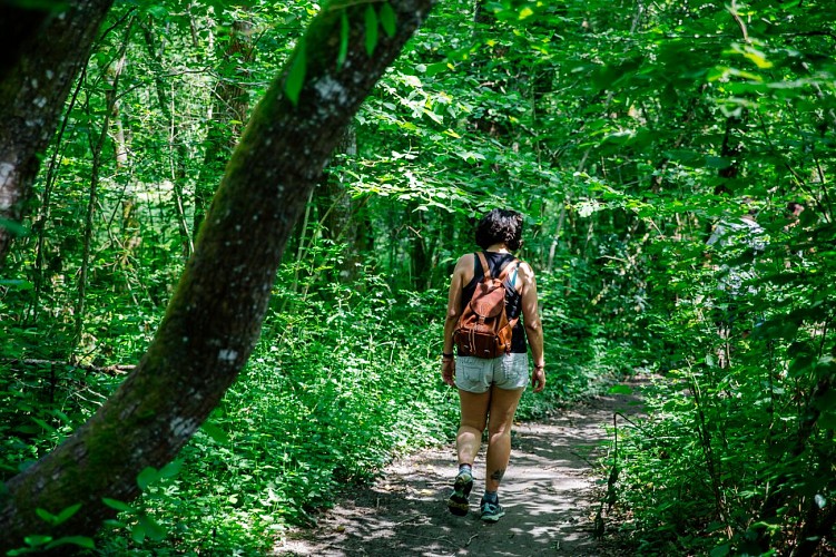 Sentier de la montecaldienne