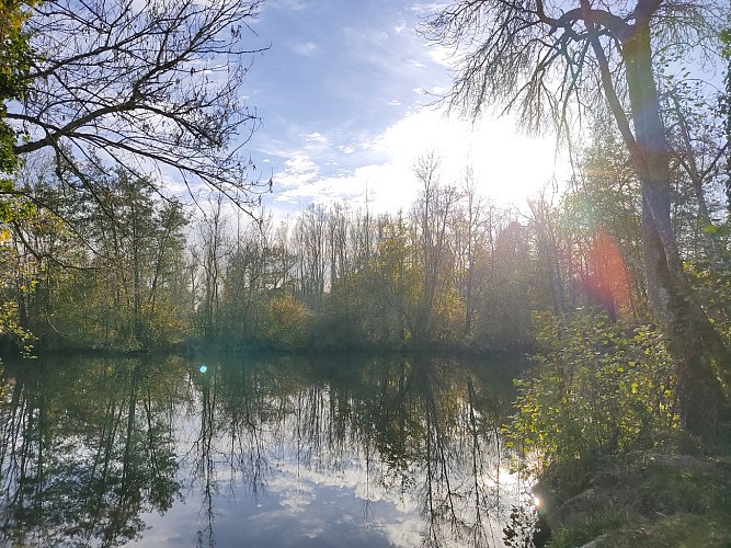 Circuit de randonnée des coteaux et prairies des Essards