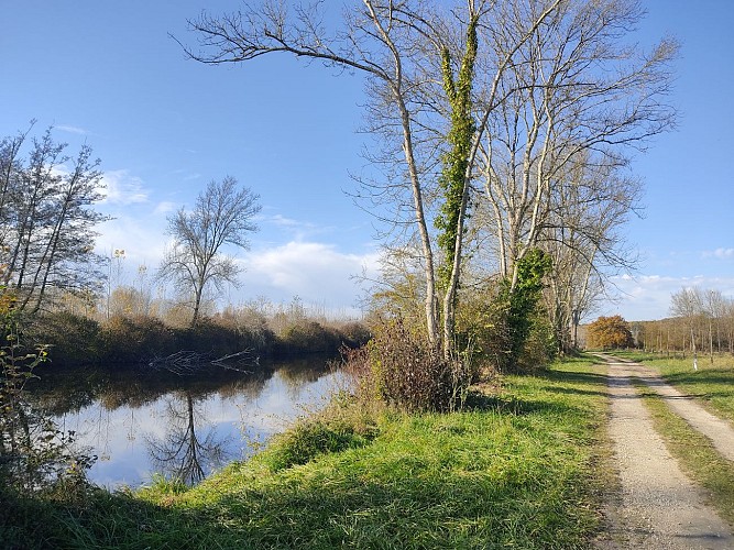 Le long de la Dronne