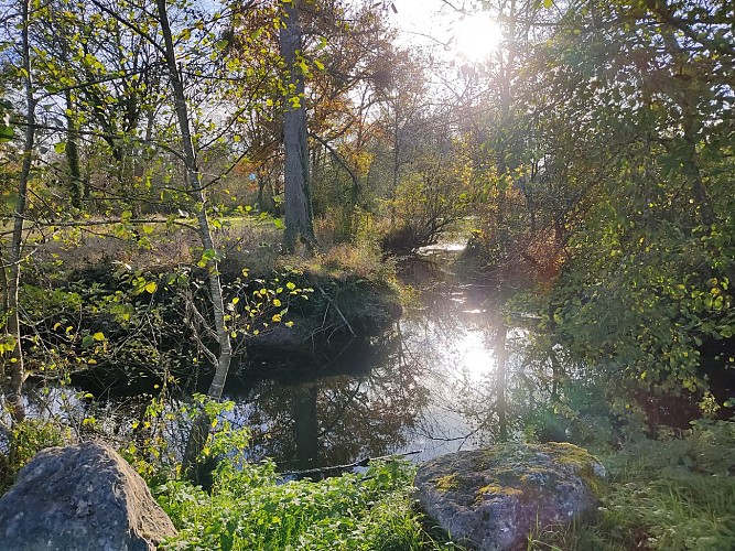 Le long de la Dronne