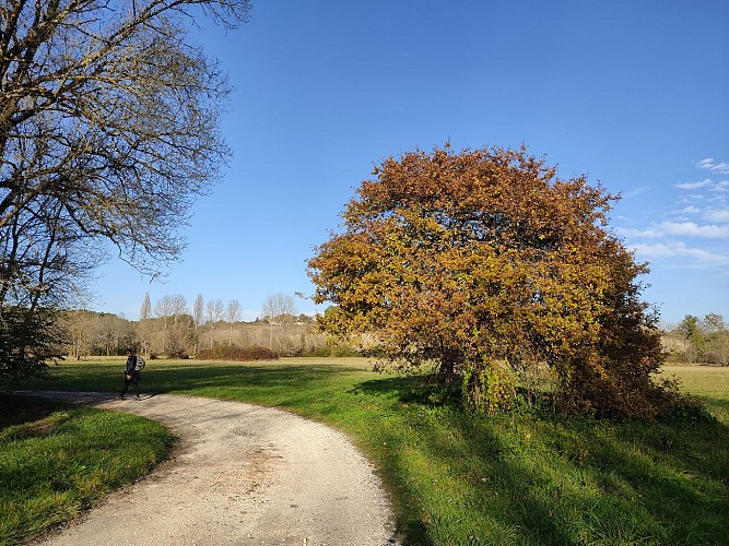 Circuit de randonnée des coteaux et prairies des Essards