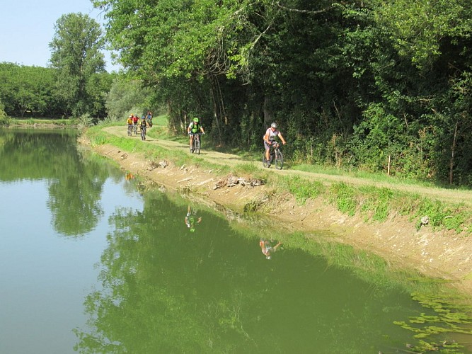 Chemin Barker Dronne