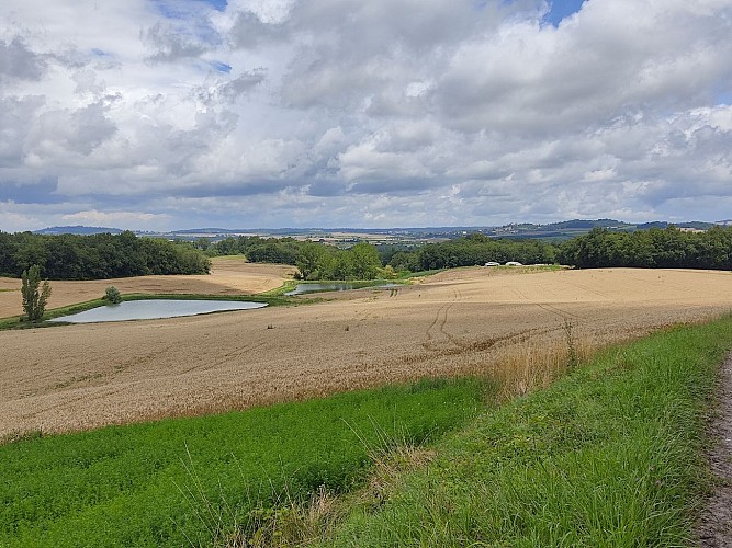 Chemin des orchidées - Vaux-Lavalette