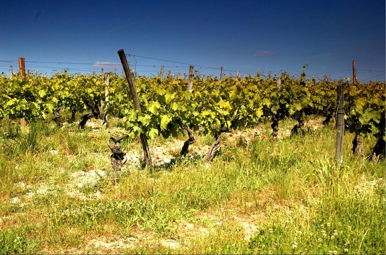 Sentier des trois cantons