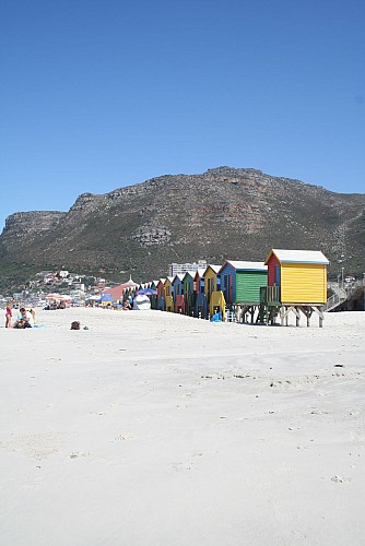 Découverte de la péninsule du Cap de Bonne Espérance