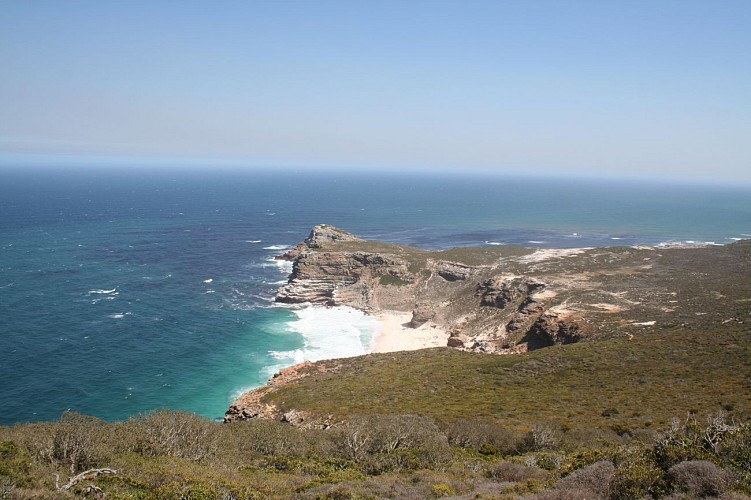 Découverte de la péninsule du Cap de Bonne Espérance