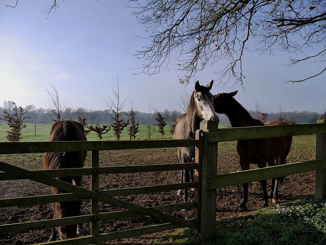 Circuit de la grotte à l'Isle Briand