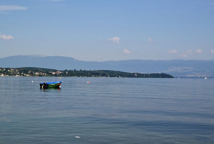 GRP Littoral du Léman on foot - Stage 5: Thonon-les-Bains > Sciez