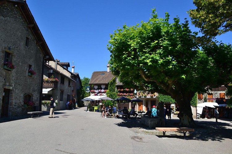 GRP Littoral du Léman on foot - Stage 6: Sciez > Yvoire