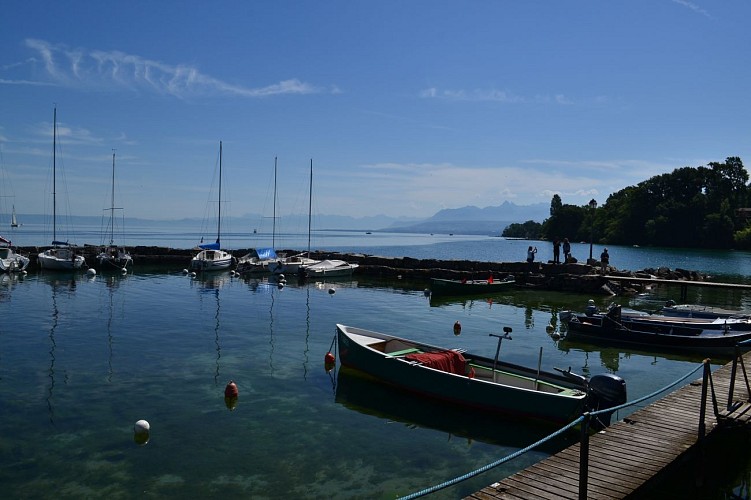 GRP Littoral du Léman à pieds - Etappe 7: Yvoire > Chens sur Léman
