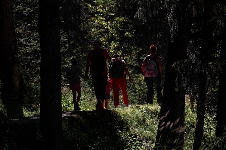 Route zum Wandern : Der Fornettenwald