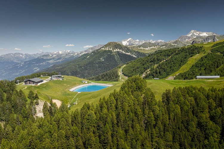 Route zum Wandern : Der Fornettenwald