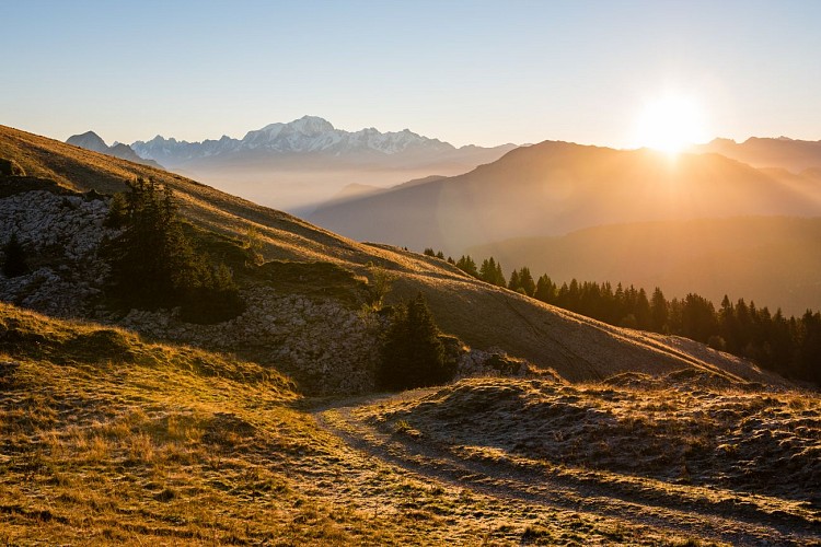 Hiking: Montagne du Charbon from Montgellaz