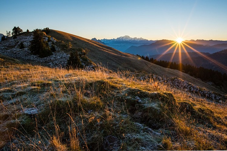 Hiking: Montagne du Charbon from Montgellaz