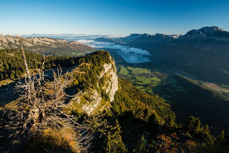 Wandelen: Montagne du Charbon vanuit Montgellaz