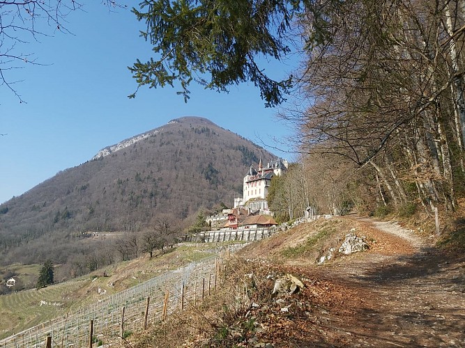 The loop of the Château de Menthon - Montviard waterfalls