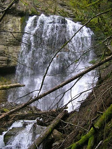 The loop of the Château de Menthon - Montviard waterfalls