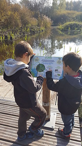 Comfort walk: The Albens marshes