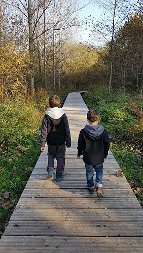 Comfort walk: The Albens marshes