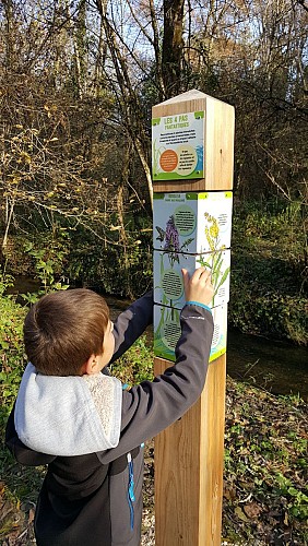 Comfort walk: The Albens marshes