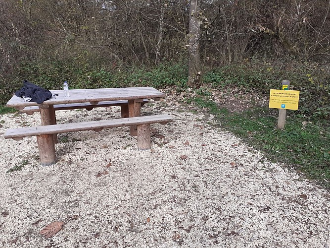 Comfort walk: The Albens marshes