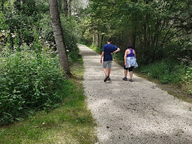 Comfort walk: The Albens marshes