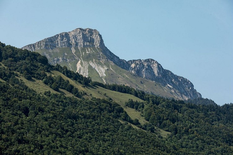 Mont Colombier depuis le Sainte-Reine