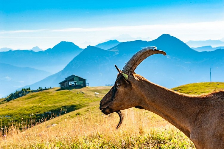 Tannes et Glacières du Margériaz