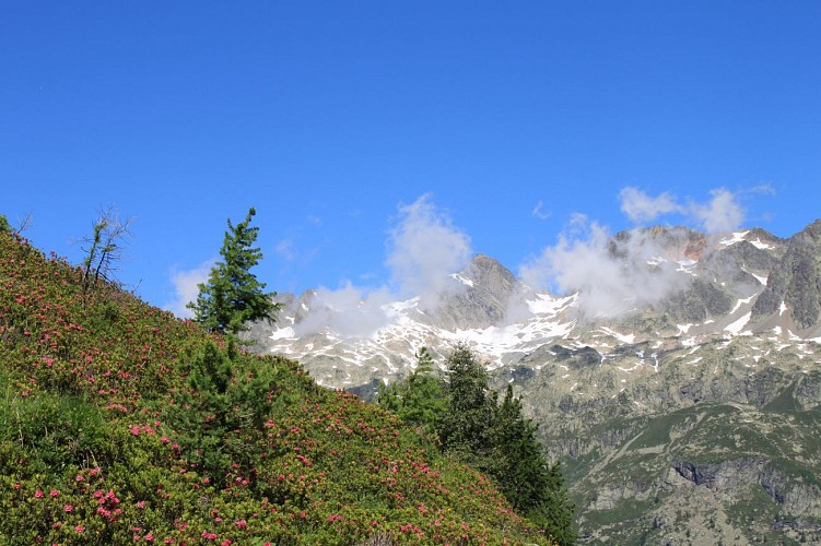 Hiking to the Croix de Lognan from Argentière