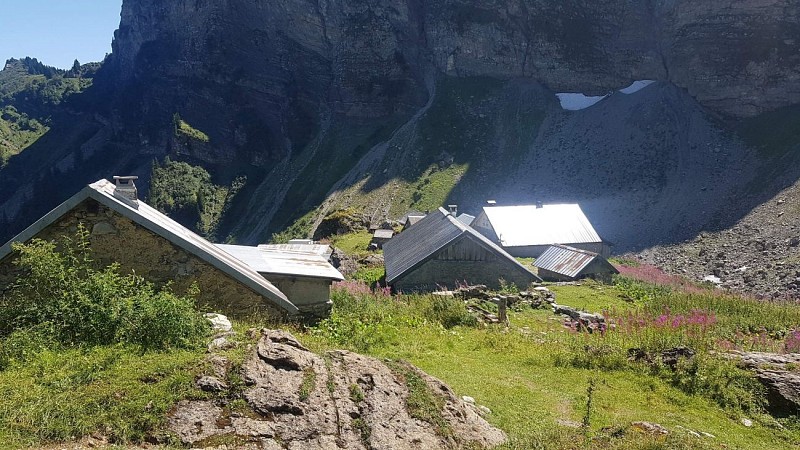 Pointe d'Ardens walking tour from lac des Plagnes