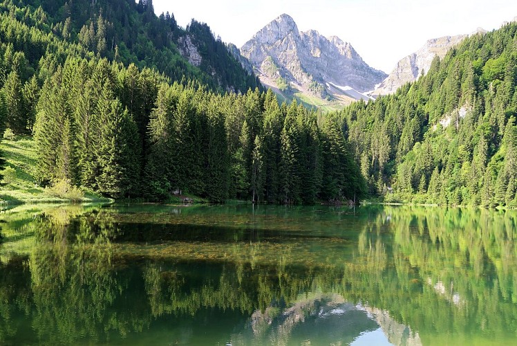 Itinéraire pédestre : Tour de la Pointe d'Ardens depuis le Lac des Plagnes_Abondance