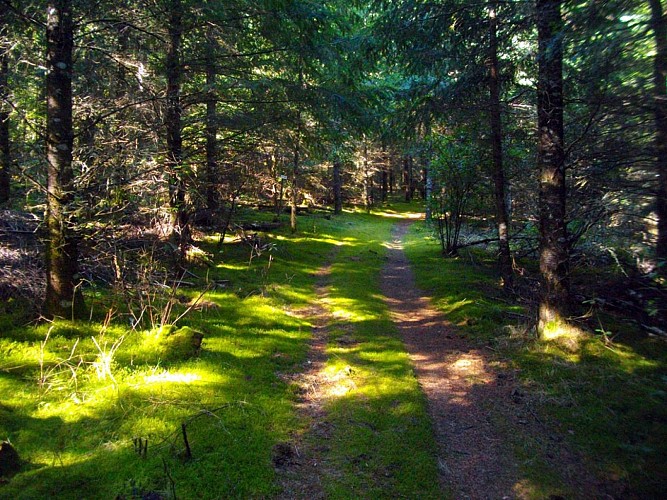 VTT - Gravel - La ligne de crêtes - 30 km - circuit 14