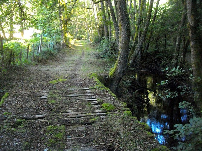 VTT - Gravel - La ligne de crêtes - 30 km - circuit 14