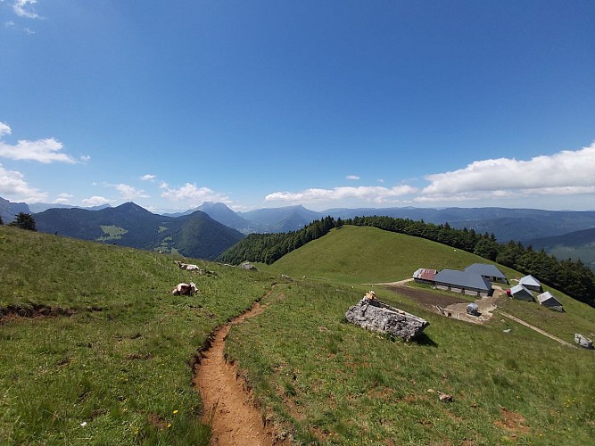 Chalets du Sollier