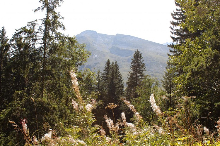 Vue sur la Pointe de Merdassier