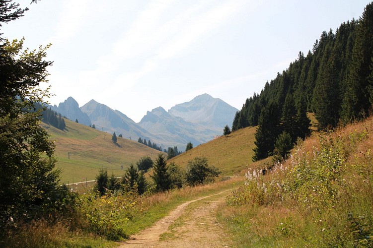 Vue sur le Mont Charvin