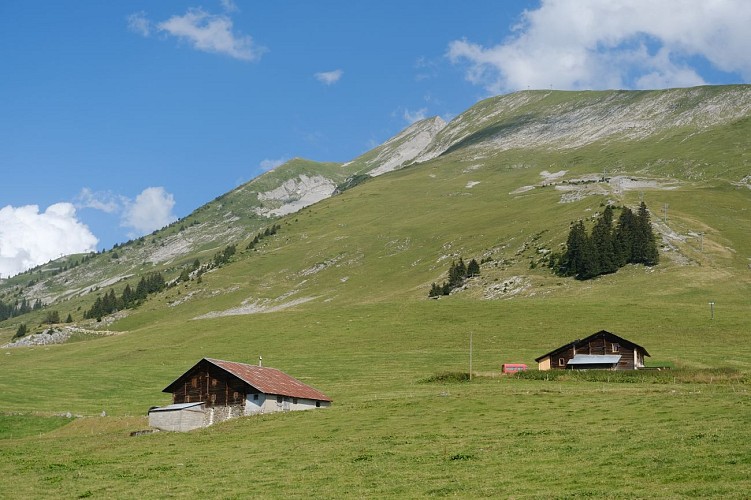 Tour de l'Andran