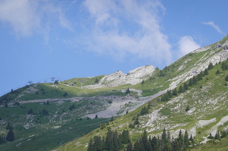 Tour de l'Andran