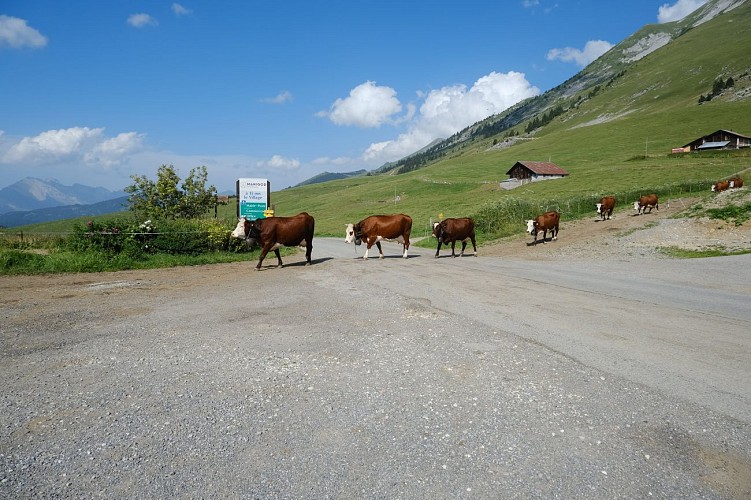 Tour de l'Andran