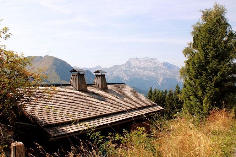 Chalet face à la Tournette