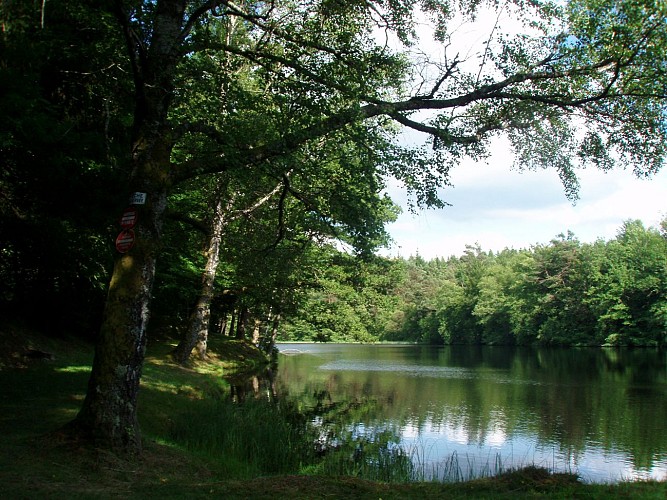 Vue_Generale_-_VTT_-_Etang_COndeau_-_circuit_40_-_auteur_G_Salt