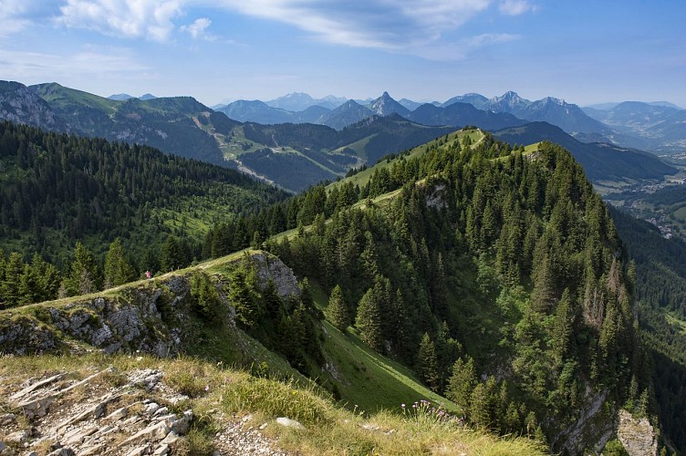 Pic des Mémises depuis Thollon