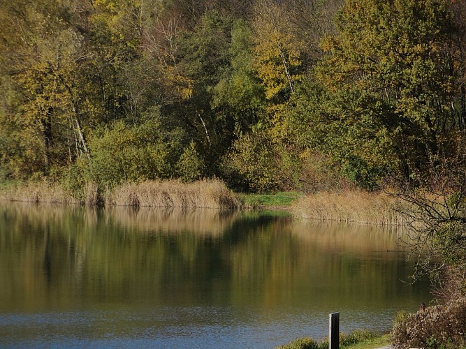 Wandelpad langs het water
