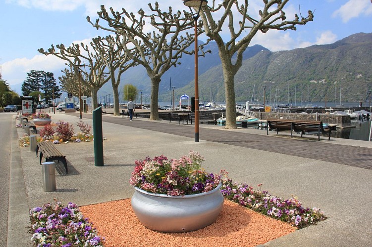 Balade santé : Lac 2