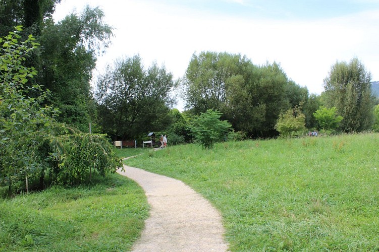 Balade santé : Lac 3