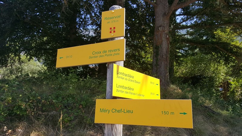 sentier Grand Essart