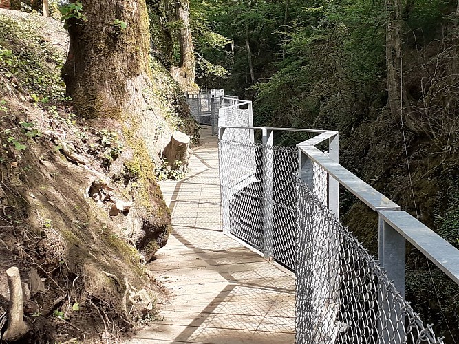 Comfort walk: The Sierroz gorges