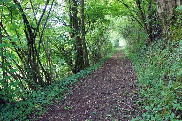 Wandeling Grésy-Mouxy