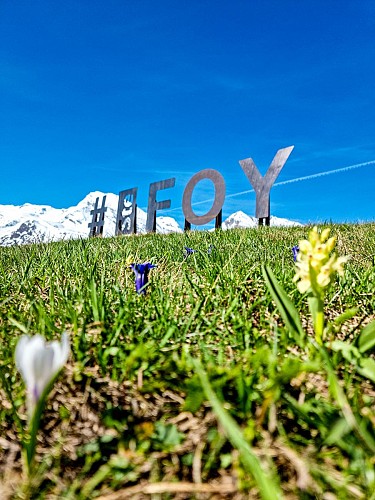 Hiking trail: Monal via Plan Bois_Sainte-Foy-Tarentaise