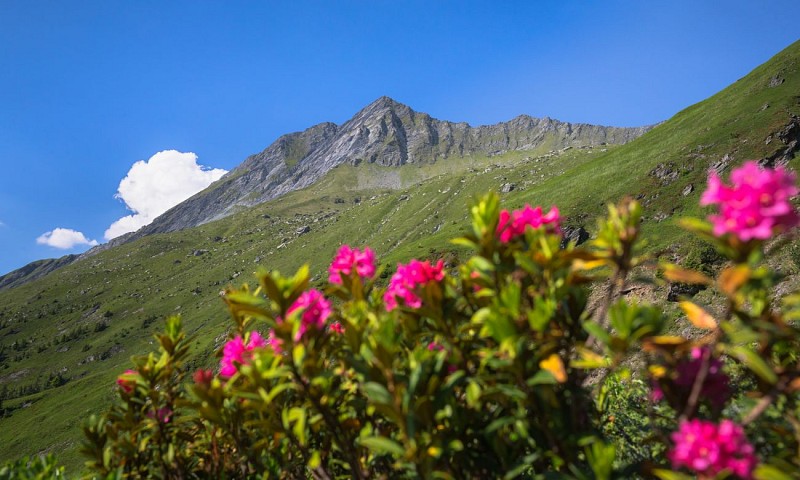 Refuge du Grand Bec - Flirt with the Alps for a weekend
